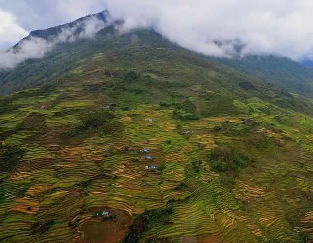 高山上的家園