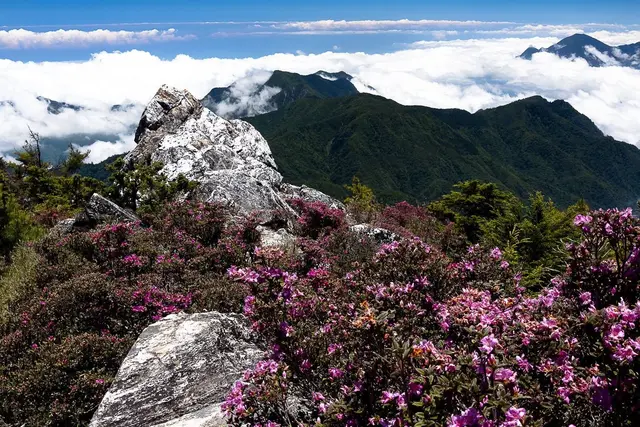 帕托魯山山頂
