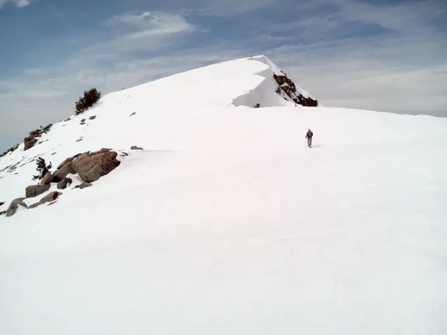 Kaiser Peak 10310ft3142m summit, Sierra National Forest.