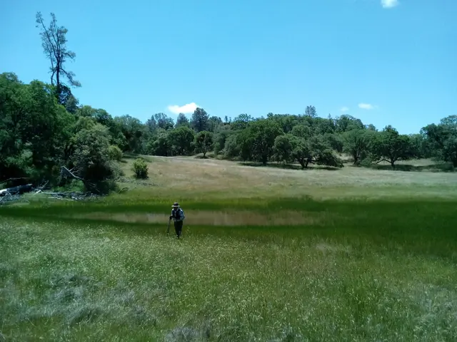 Lake Tanganyika under Tully Mountain 3600+ft1097+m in Central California, the access gully being heavily invested by poison oaks. But this one reminds me a good old song 青夢湖.