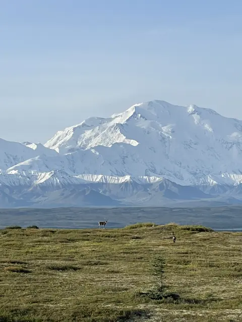 迪納利和馴, Denali and Caribou, 美國迪納利國家公園