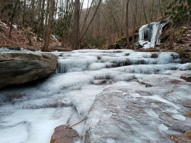 Strader Run, Monongahela National Forest