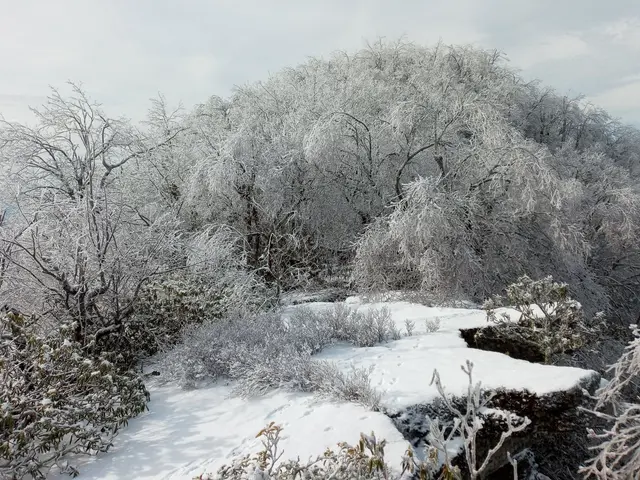 Sugarloaf Mountain, Jefferson National Forest, VA