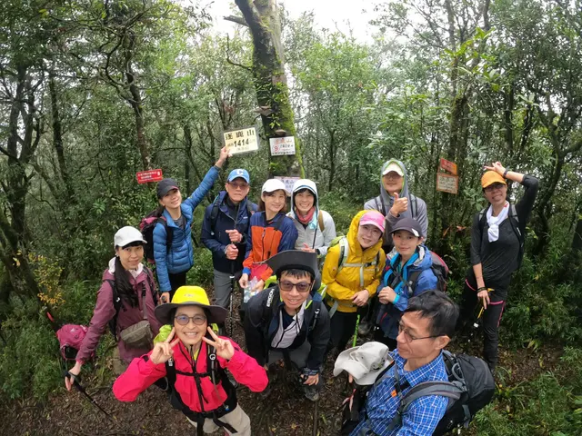 逐鹿山賞山毛櫸 沒到卡保下雲夢谷