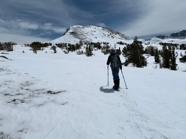 Elephants Back (2922m), Eldorado National Forest - PCT, CA,