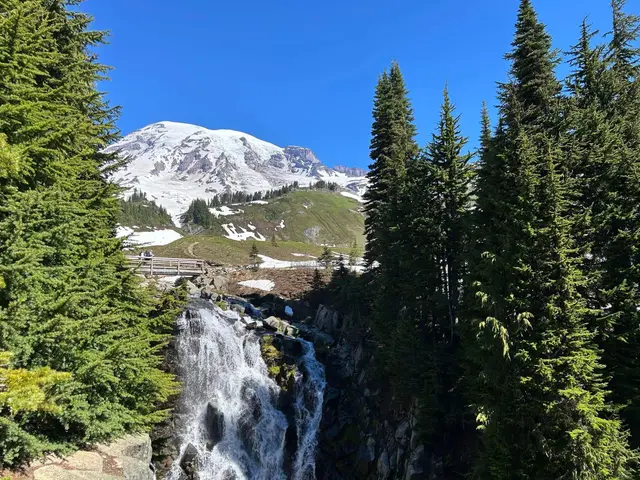 Mt. Rainier National Park, United States