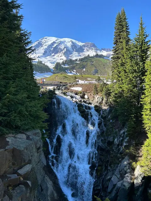 Mt. Rainier National Park, United States