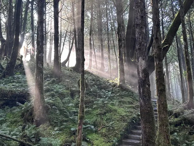 翠峰湖畔暮與晨