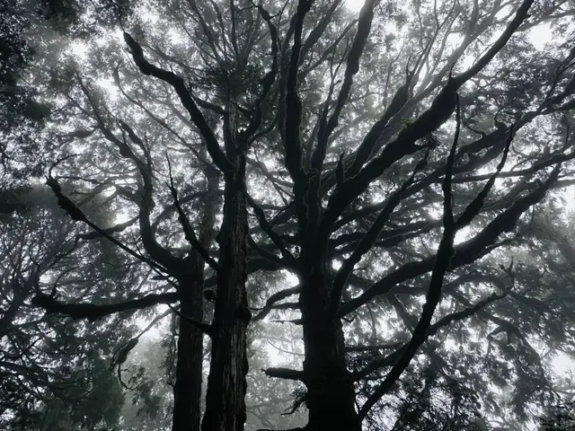 翠峰湖畔暮與晨