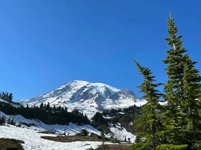Mt. Rainier National Park, United States