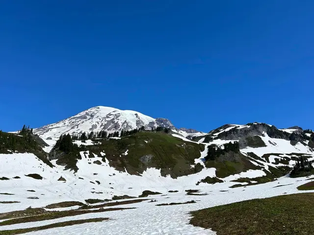 Mt. Rainier National Park, United States