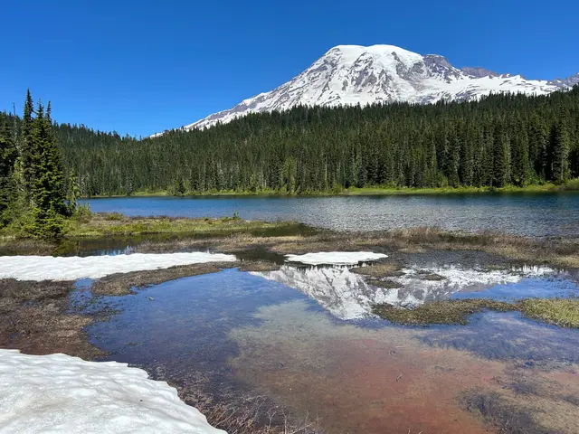 Mt. Rainier National Park