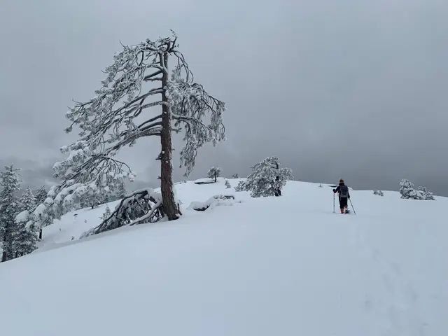Devils Dance Floor (2084m) snowshoeing_Yosemite National Park CA