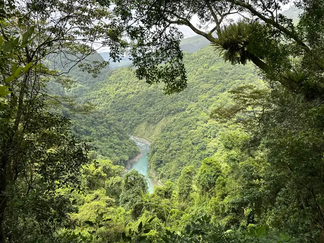 家鄉的綠葉青溪