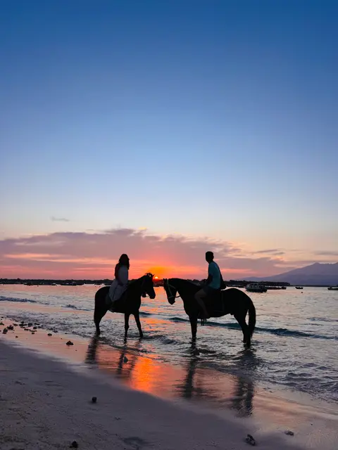 日出 海灘騎馬