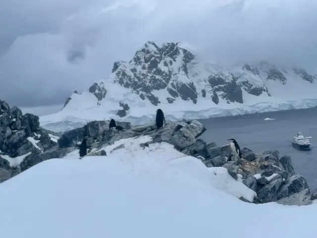 夢幻南極之雪山企鵝與船