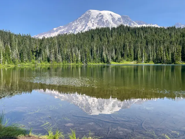 倒影湖中的雷尼爾山