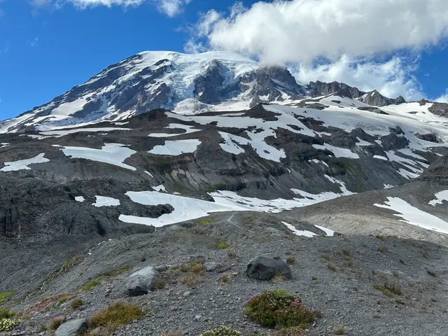 終於露臉的Mount Rainier